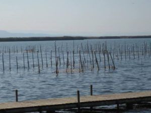 albufera valencia