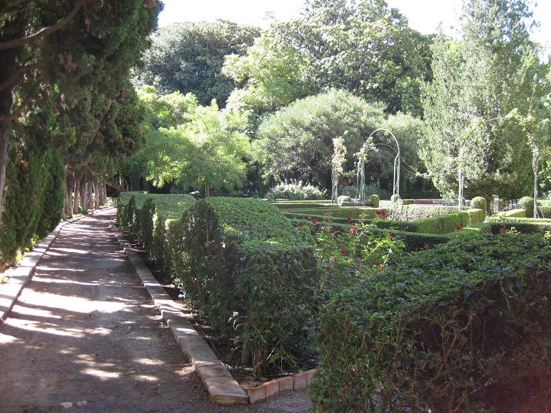 Jardín de Monforte 4 Jardín de Monforte valencia
