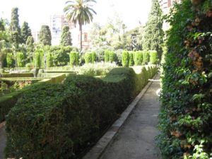 jarines de monforte valencia