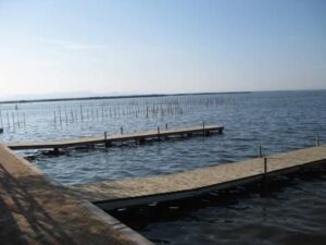 albufera