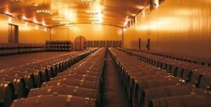 bodegas vegamar en calles valencia