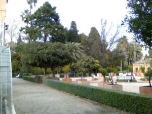 jardin botanico valencia