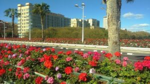 puente de las flores valencia