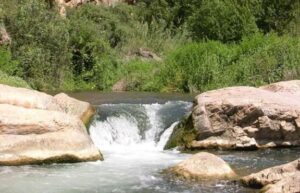 camping altomira parque natural