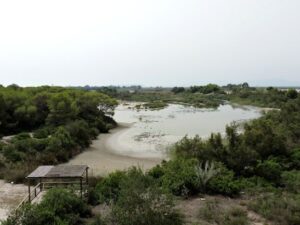 racodelolla