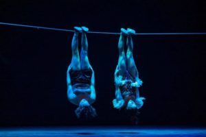 circo gran fele orinoco