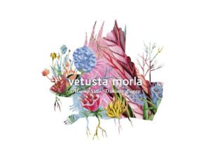 vetusta morla mismo sitio