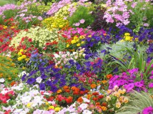 Fira Primavera