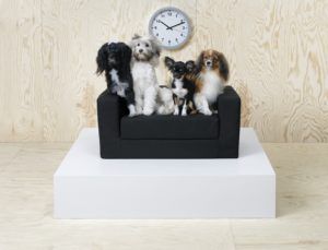 ikea coleccion lurvig  ph lowres
