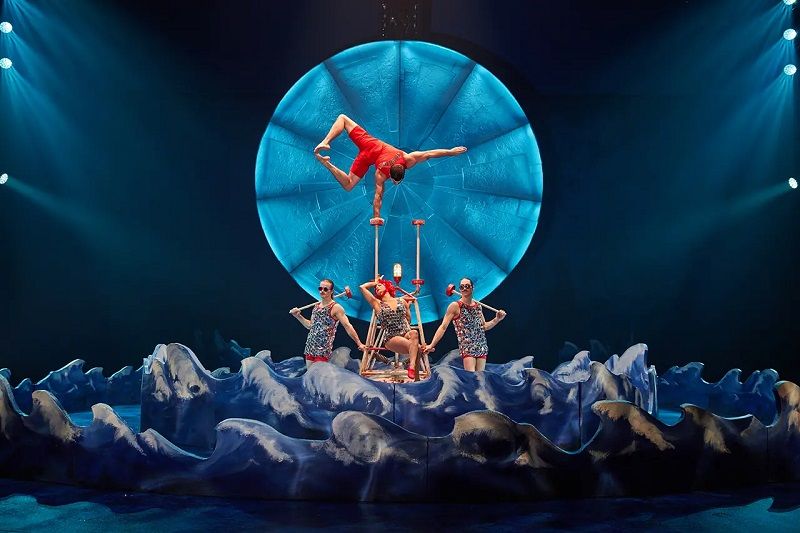 luzia highlights canes luzia highlights canes