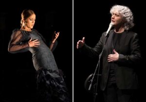 Ciclo Panorama Flamenco valencia