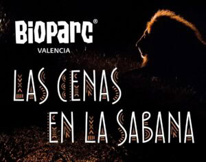 Las cenas en la sabana BIOPARC Valencia