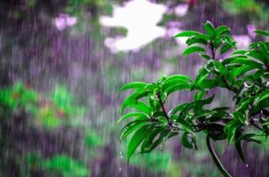 ¿Qué hacer en Valencia cuando llueve? valencia