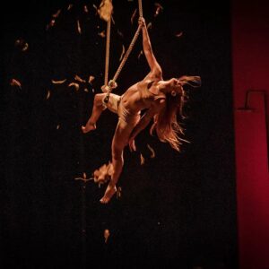 Festival internacional de circo de València 'Contorsions' valencia