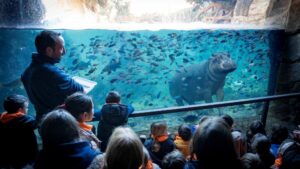“Expedición África” Navidad, la escuela de vacaciones de BIOPARC valencia