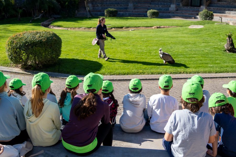 Escuela de vacaciones de Pascua, “Expedición África” en Bioparc 3 Escuela de vacaciones de Pascua, “Expedición África” en Bioparc valencia