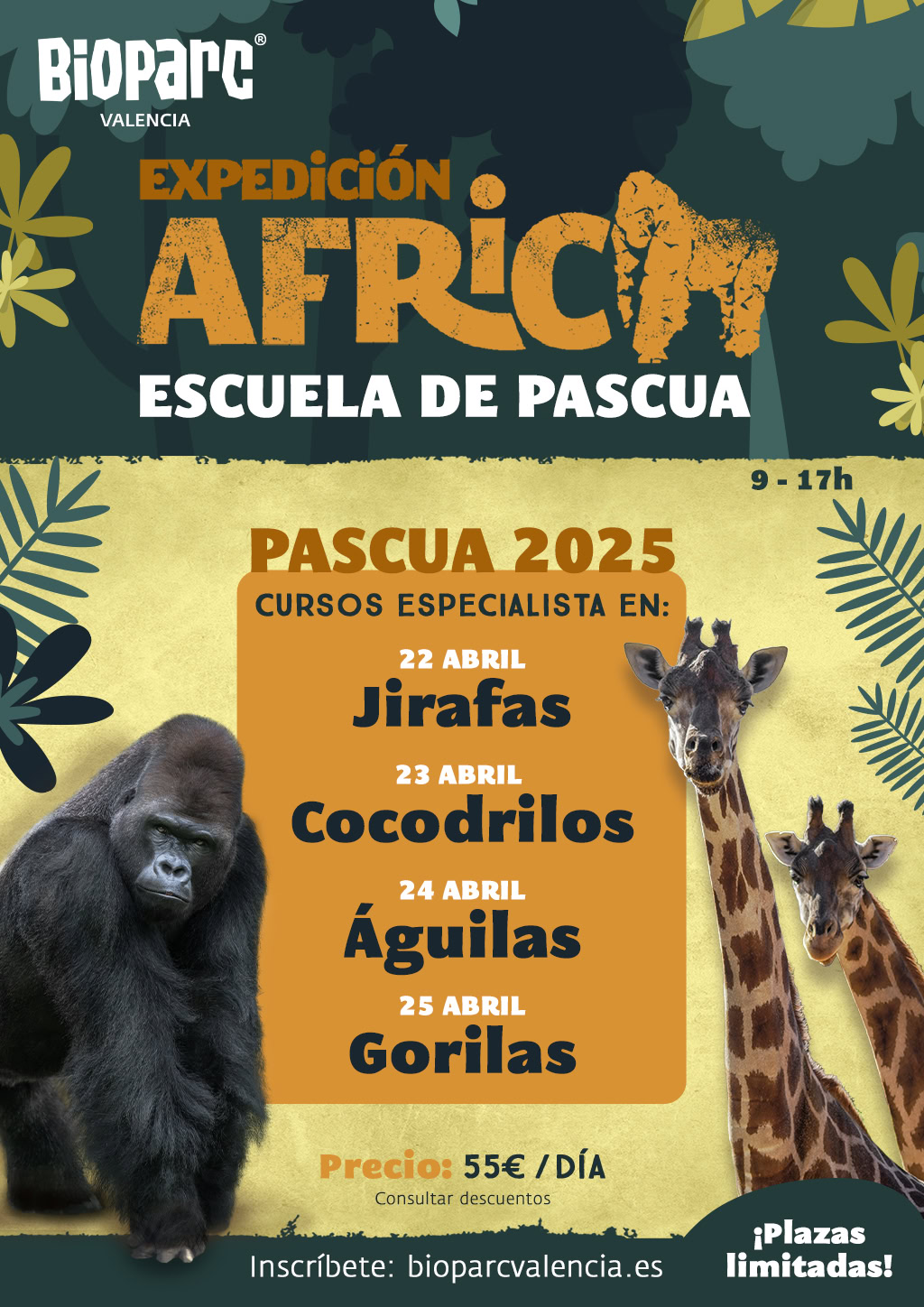 Escuela de vacaciones de Pascua, “Expedición África” en Bioparc 4 Escuela de vacaciones de Pascua, “Expedición África” en Bioparc valencia
