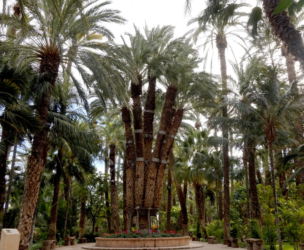 El Huerto de Cura valencia