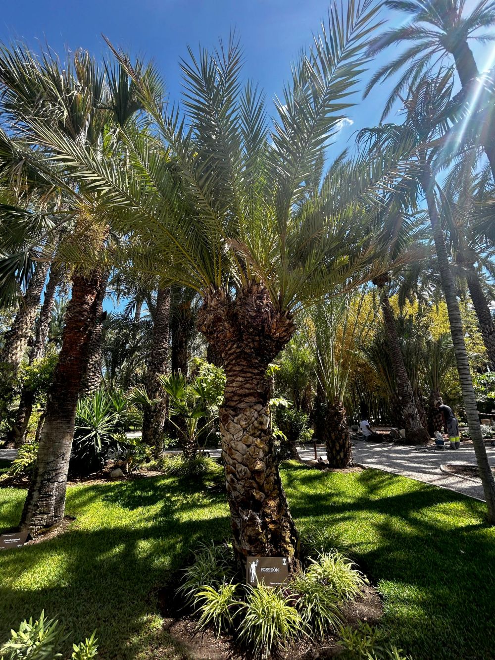 El Huerto de Cura valencia